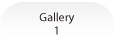 gallery1